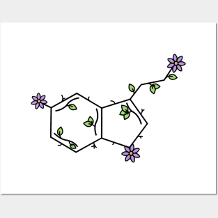 Serotonin Posters and Art